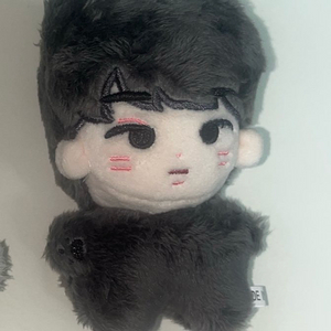 급처) 세븐틴 원우 알잘냥 10cm 인형 판매합니다