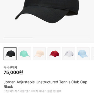 조던 언스트럭처 볼캡 L-XL (FD5185-010)