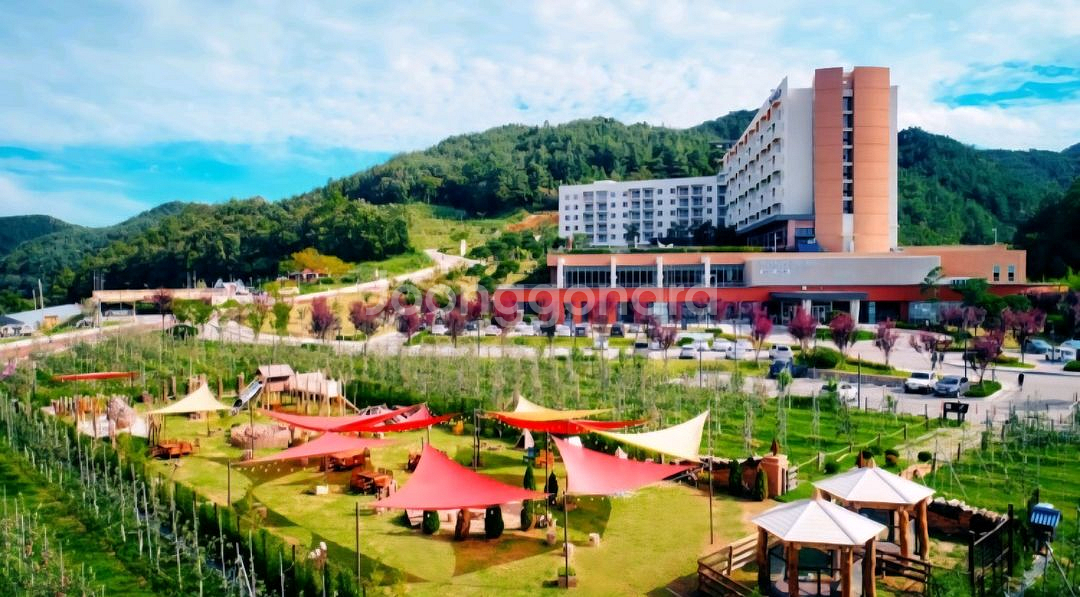 소노벨 청송 스위트 플러스 9월 27일 토요일--0