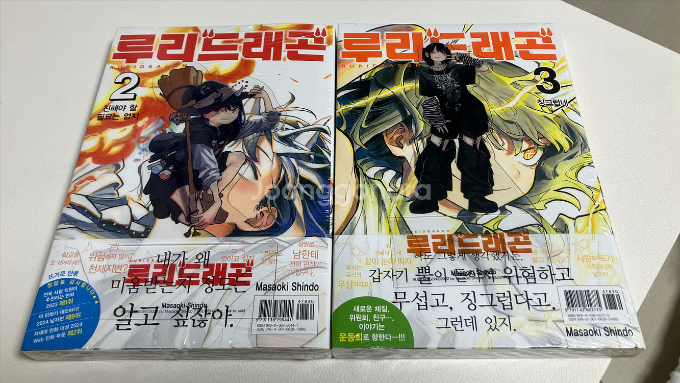 루리드래곤 1-3권 초판--3