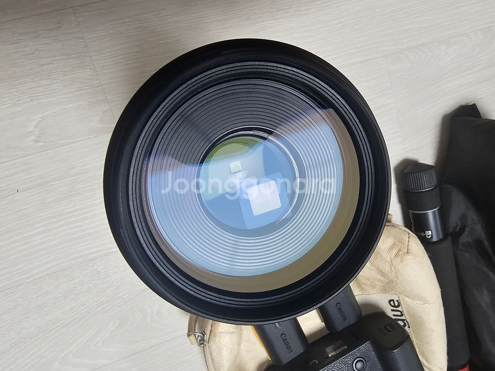 캐논 R6 Mark II + RF 100-500 +--2