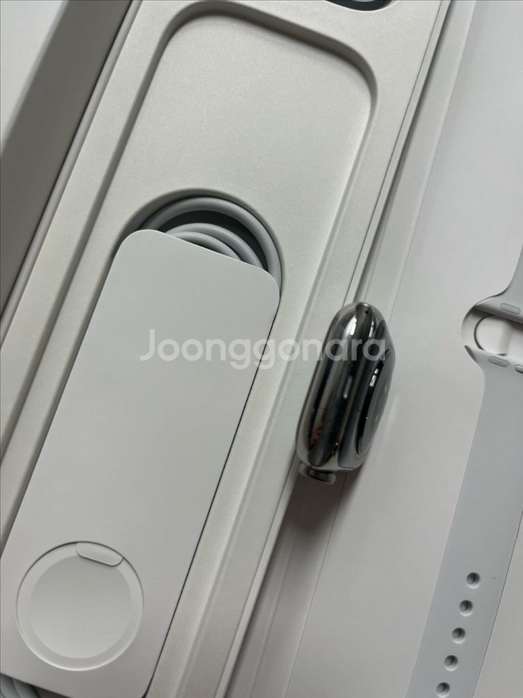 애플워치8스테인리스 41mm 실버 SS급--5