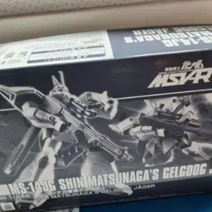 HG 겔구그 신마츠나가 전용기