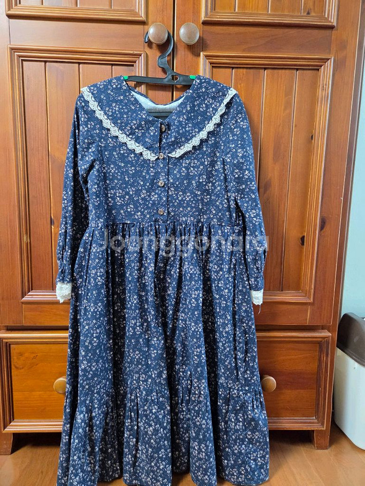 레니본 65 덤 인하--1