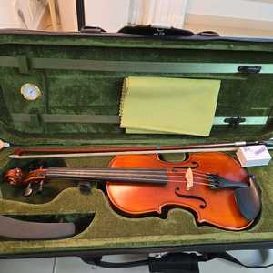 어린이 입문용 바이올린