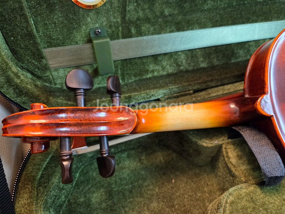 어린이 입문용 바이올린--5