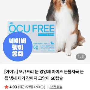 반려견 오큐푸리 눈물 영양제 50캡슐