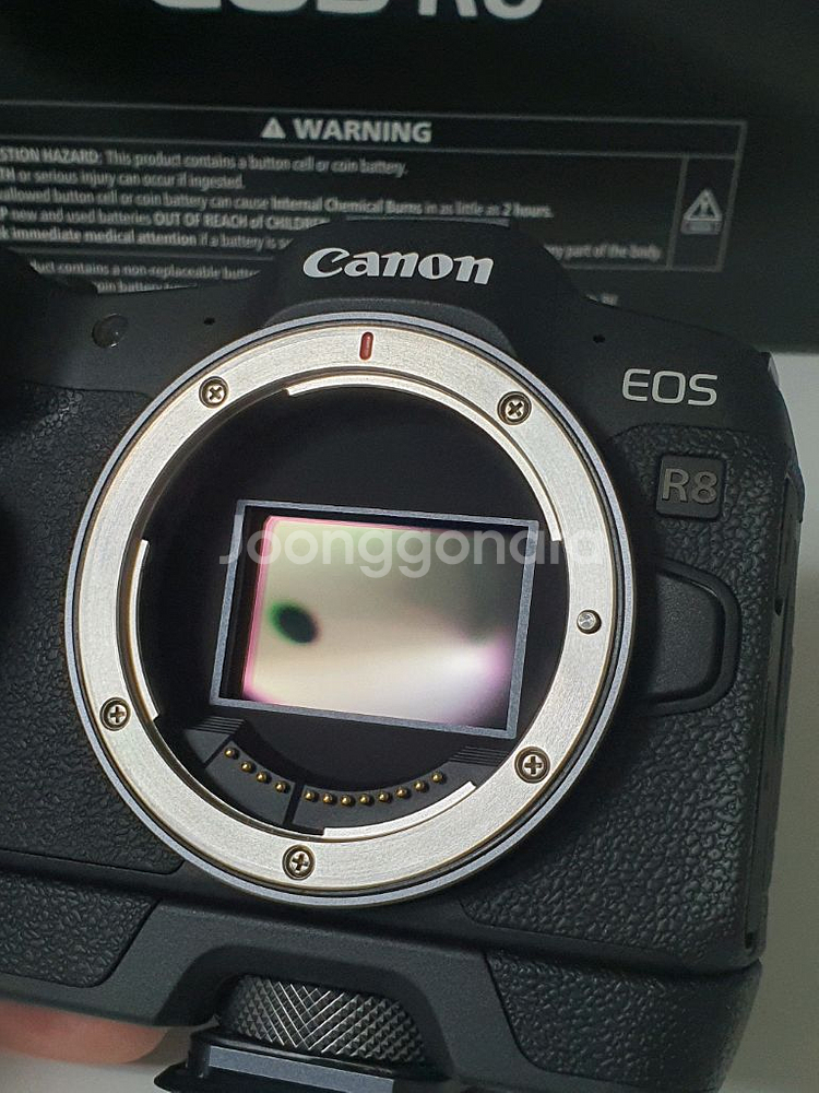 캐논 EOS R8 팝니다--1