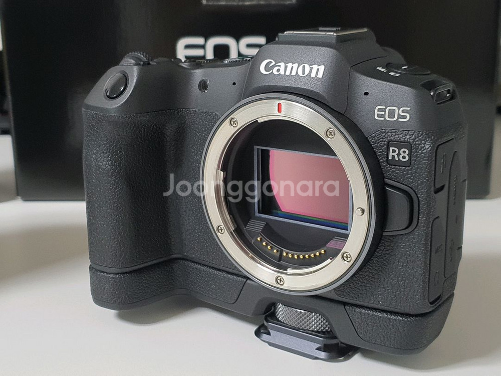 캐논 EOS R8 팝니다--0
