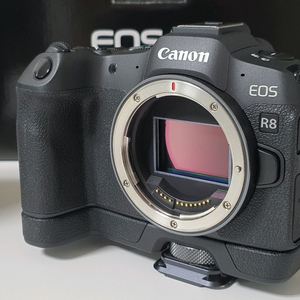 캐논 EOS R8 팝니다