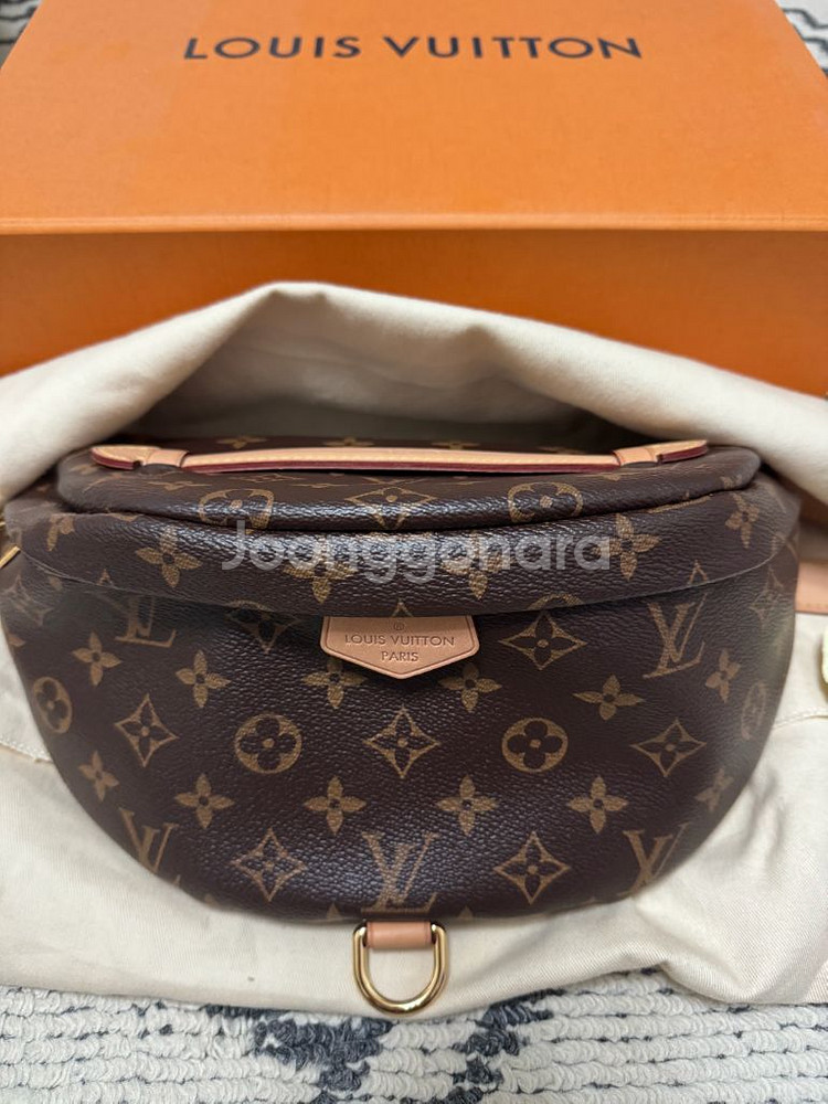 루이비통 범백--1