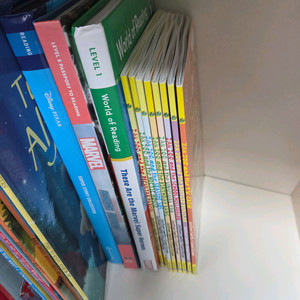 잭주 마인크래프트 플랫스탠리 등 어린이 원서