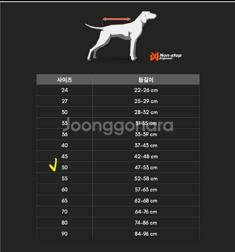논스톱도그웨어 피오르드 레인코트 우비--3