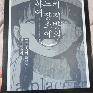 오닉스 북스 맥스 루미1 13.3인치