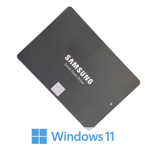 윈도우11 설치 삼성 860 EVO SSD 500GB