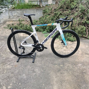 메리다 리액토 6000kr팀