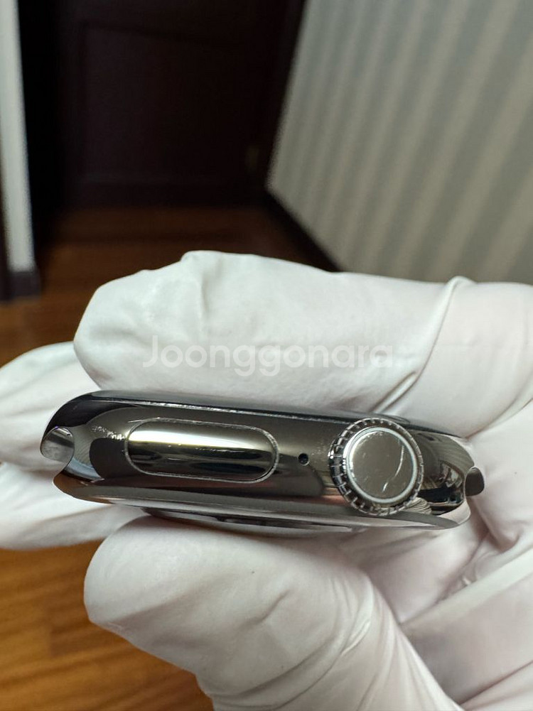 애플워치10 네츄럴티타늄 42mm GPS+셀룰러--4