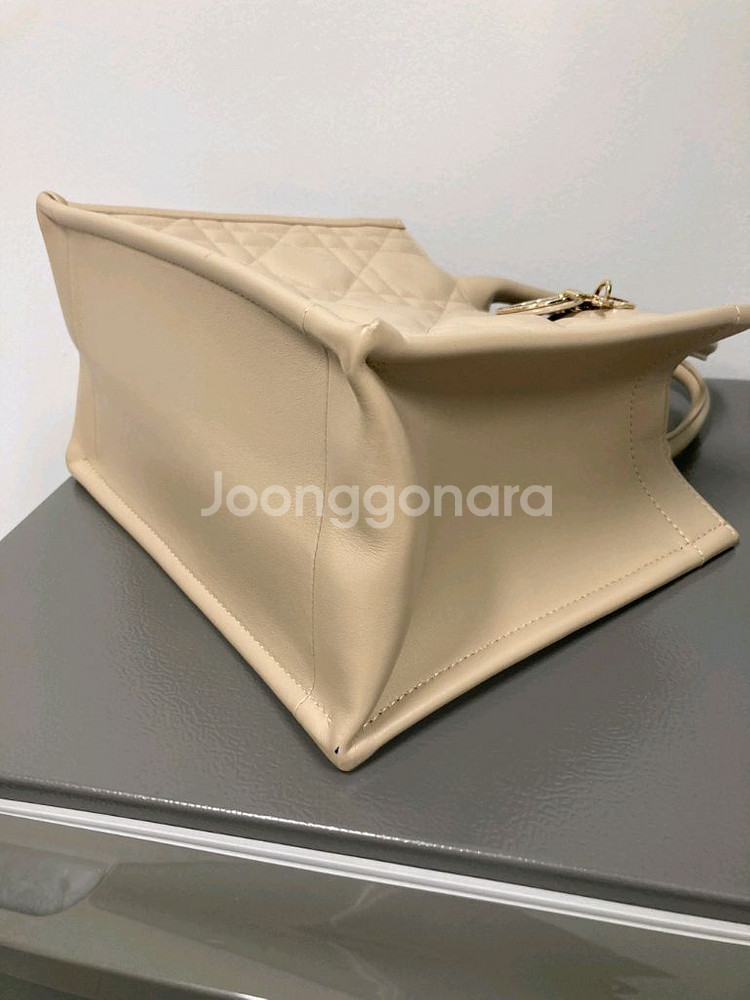 디올 북토트 까나쥬 레더 스몰 토트백--5