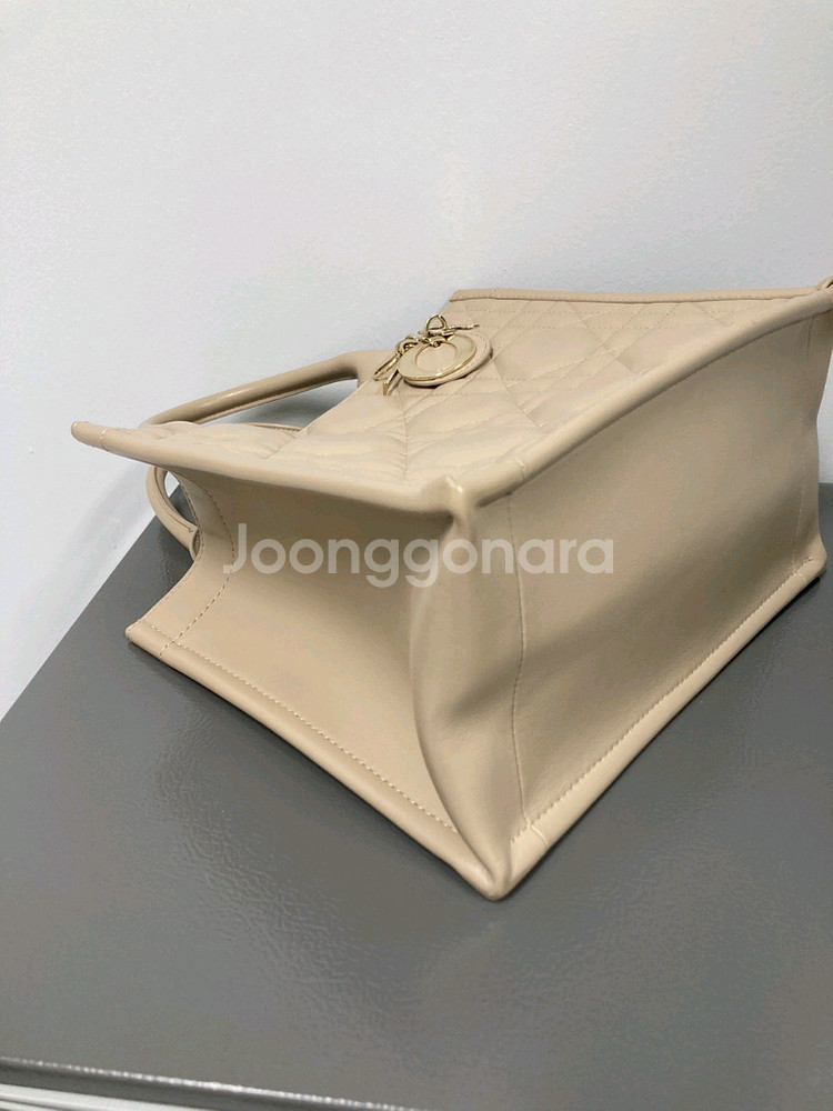 디올 북토트 까나쥬 레더 스몰 토트백--4