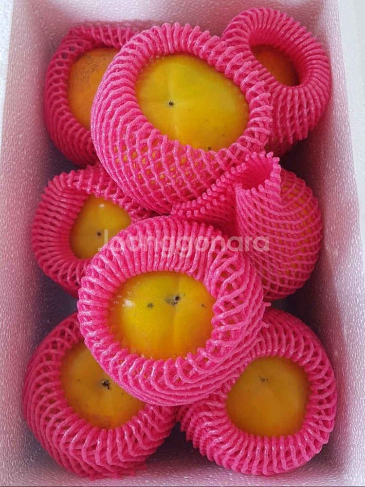 감풍단감 로망단감 달고 맛있어요--3