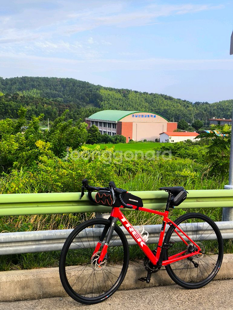 [TREK/트렉] 도마니 AL4 4세대--1