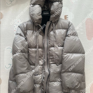정품 막스마라 큐브 세이아