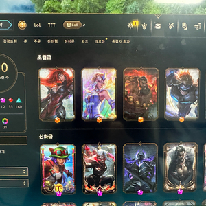 롤 올챔 플레 롤체 아이디