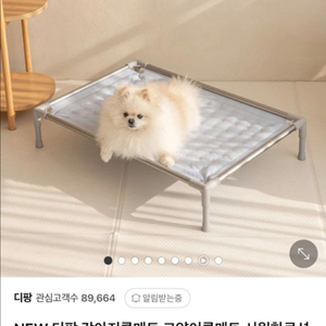[새상품] 디팡 강아지 쿨매트 (대형 L)
