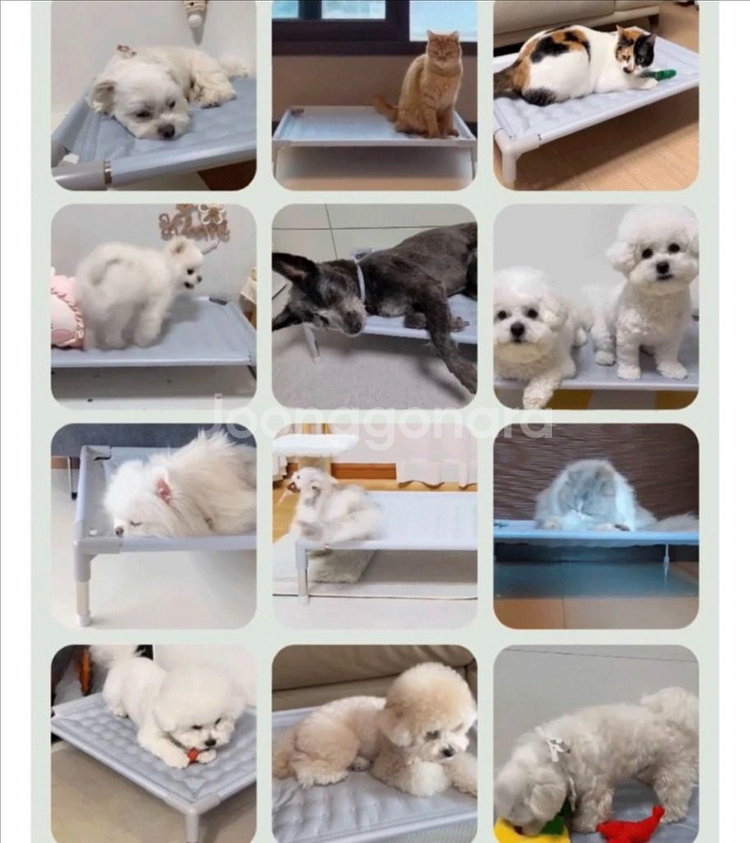 [새상품] 디팡 강아지 쿨매트 (대형 L)--2