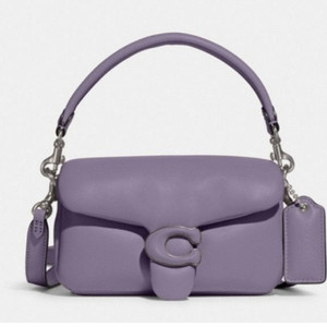 코치 필로우 태비백