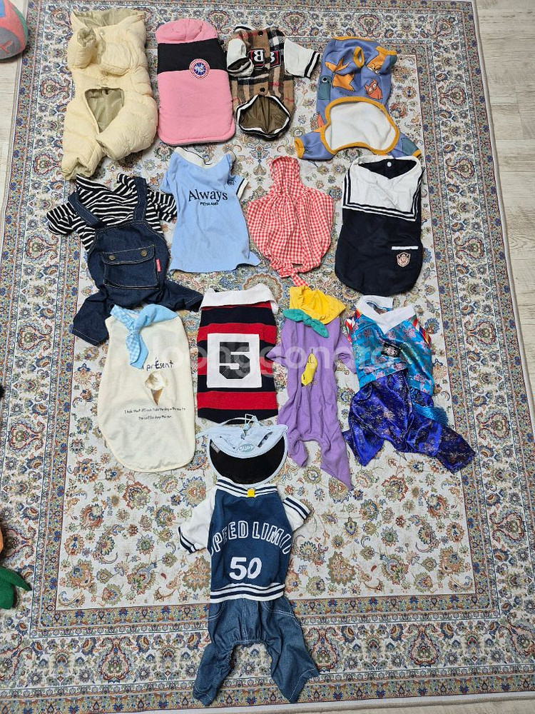 강아지 의류 세트 일괄(14벌L~XL)--0
