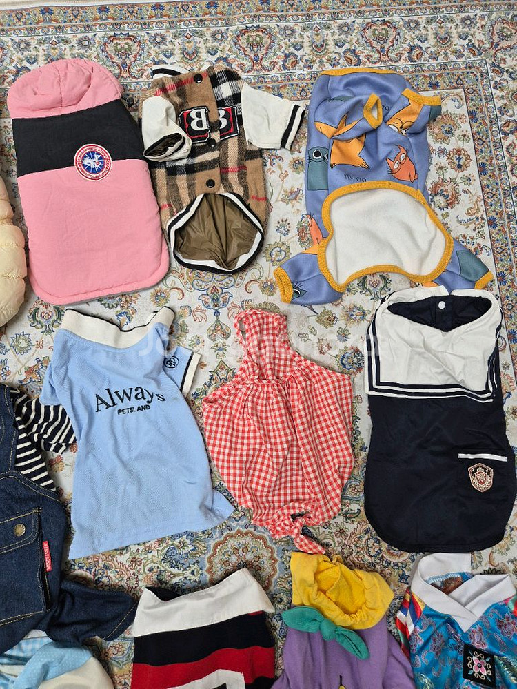 강아지 의류 세트 일괄(14벌L~XL)--2