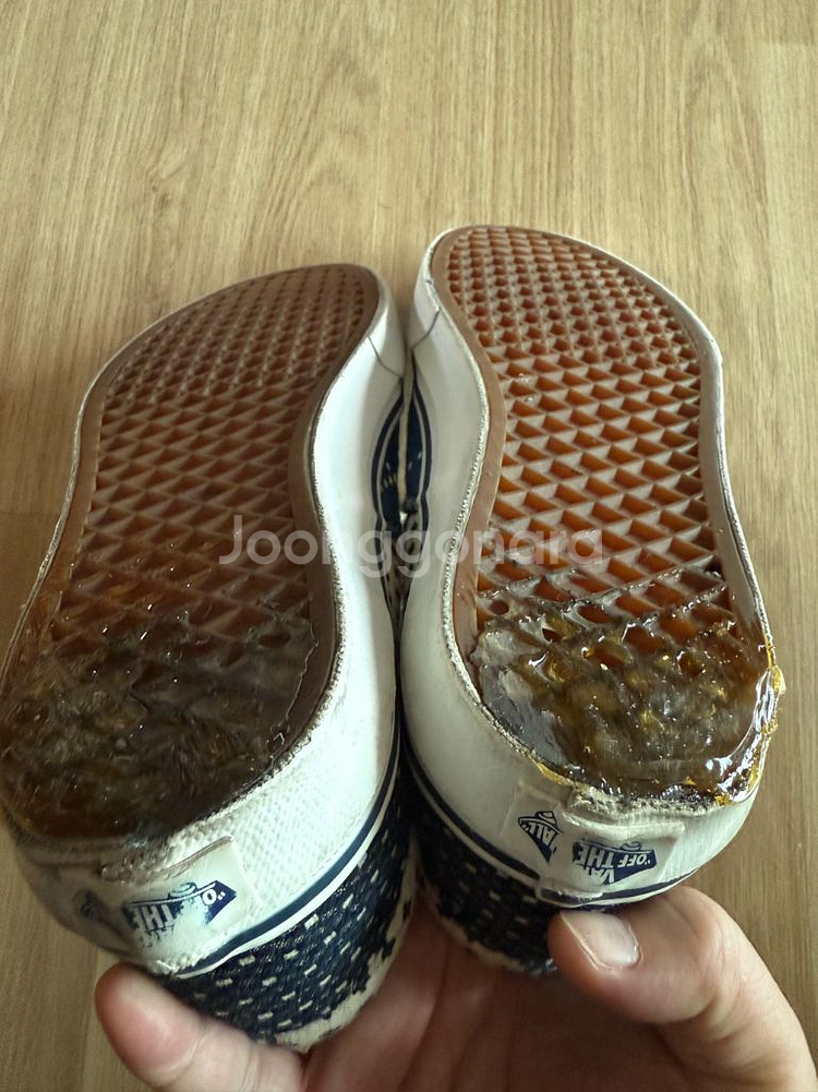 반스 펀더몐탈--2