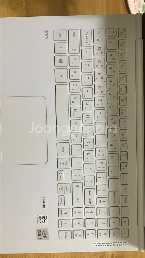 LG 그램 15ZB995-GP70ML 노트북--5