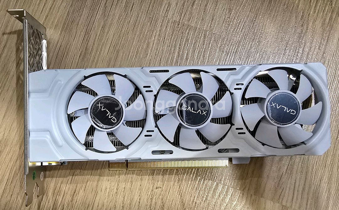 (서울) 갤럭시 RTX 4060 LP white--1