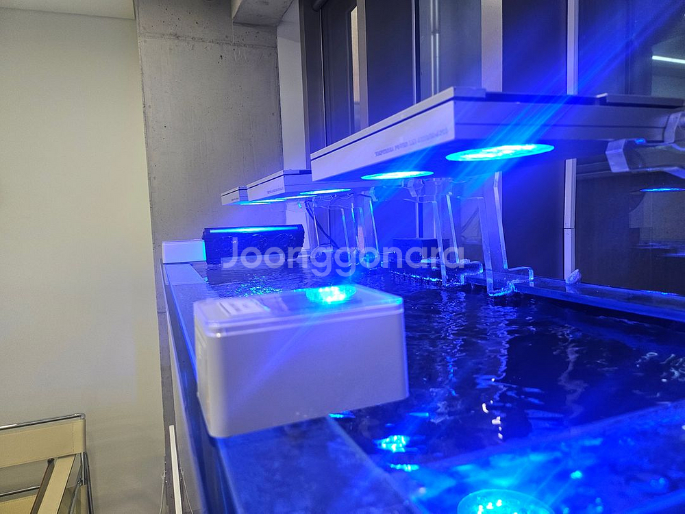 해수어항 가로 1500mm / 세로 1500mm 판매--1