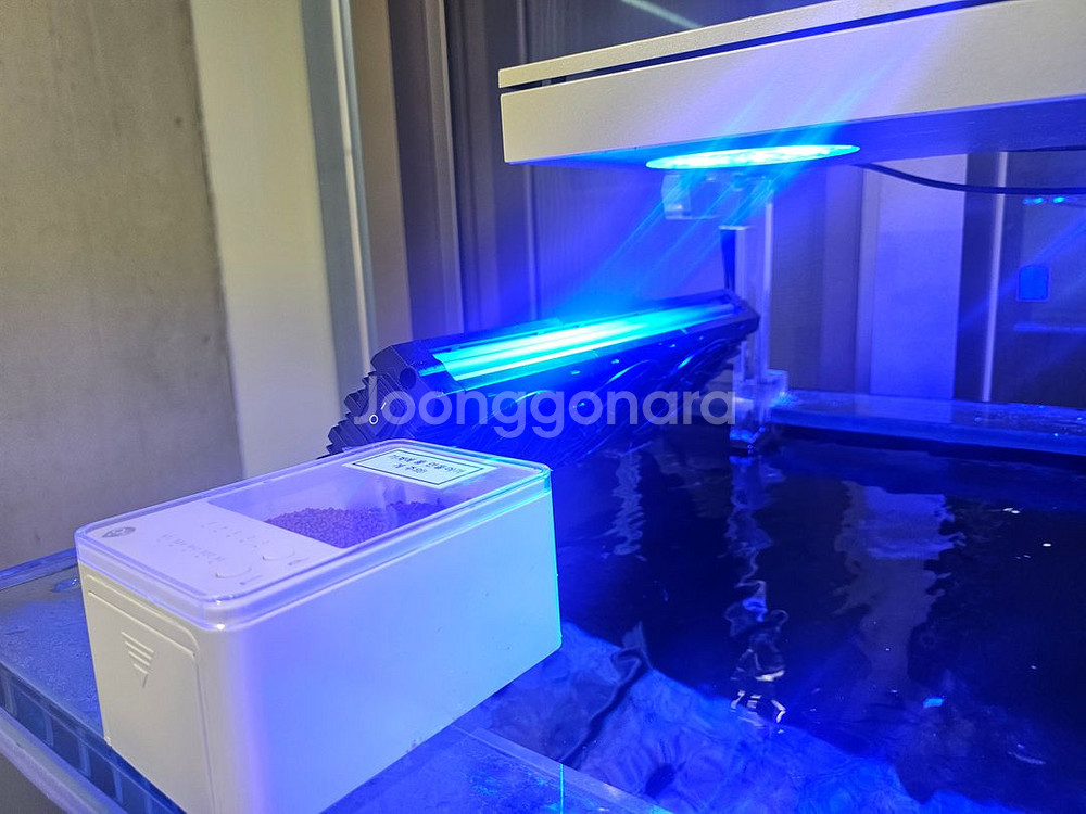 해수어항 가로 1500mm / 세로 1500mm 판매--2