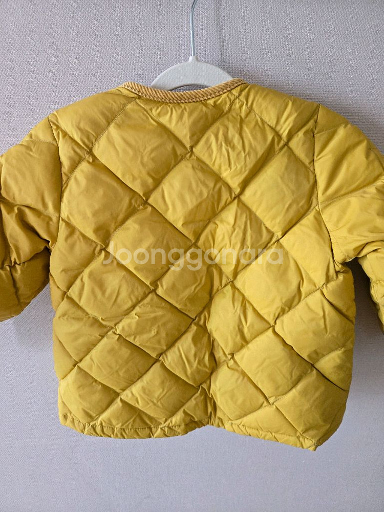 블루독 경량패딩--4