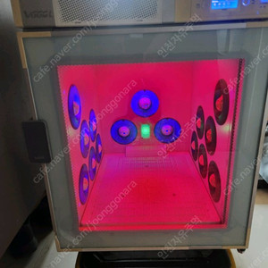 붐펫 드라이룸 K100