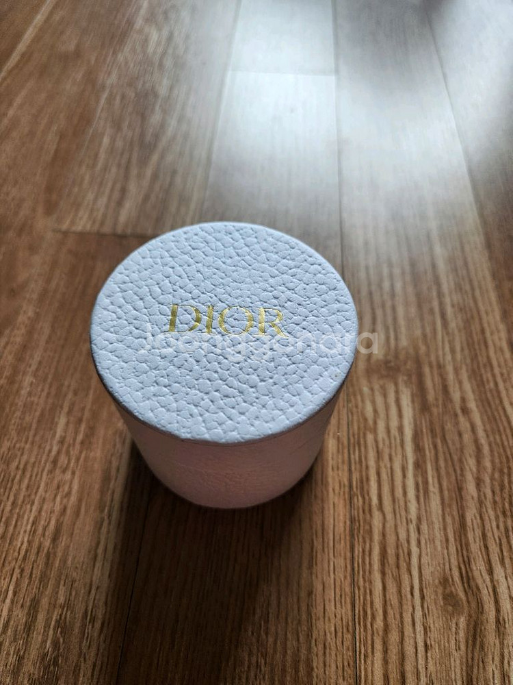 DIOR 디올 스카프 24FCO106I606--3