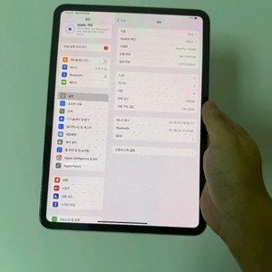 아이패드 프로 11 m4 256 g wifi
