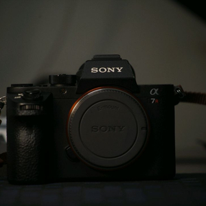 a7r2(컷수158XX),세로그립,배터리3개