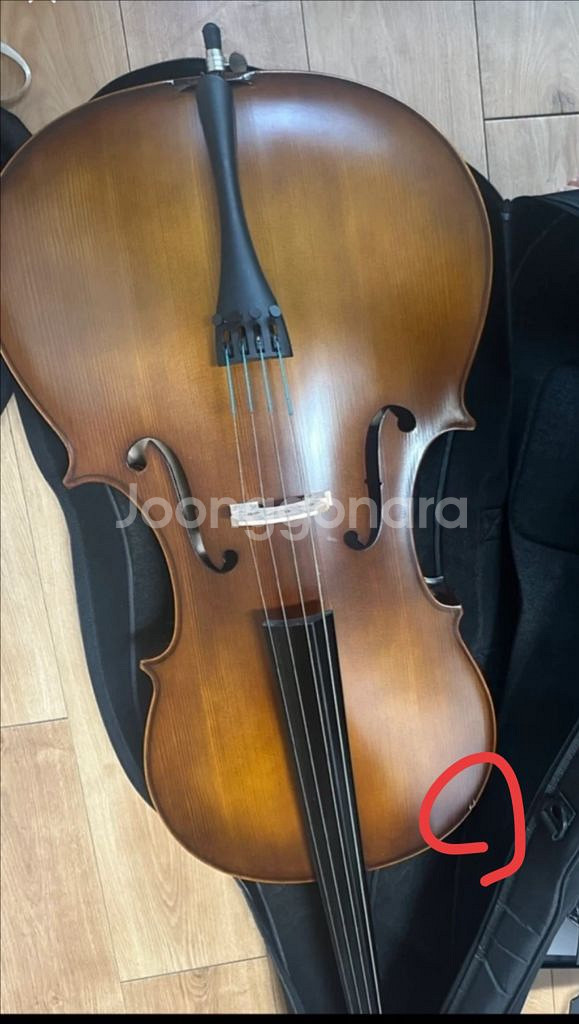 첼로4/4 악기 성인용팝니다 연습용--0