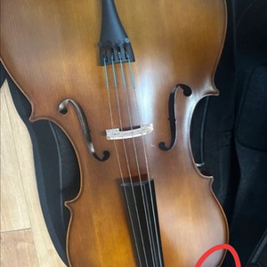 첼로4/4 악기 성인용팝니다 연습용