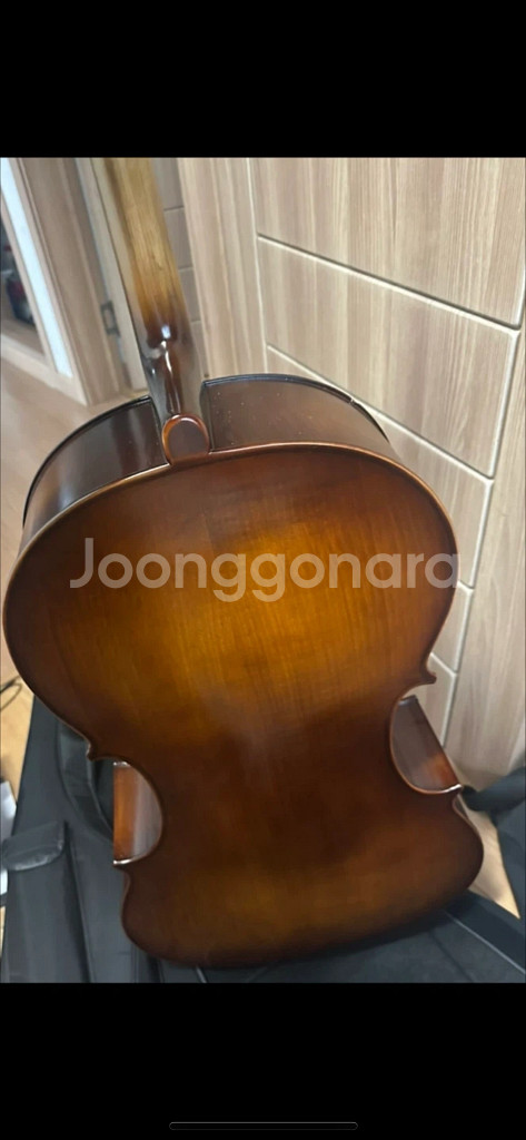 첼로4/4 악기 성인용팝니다 연습용--1