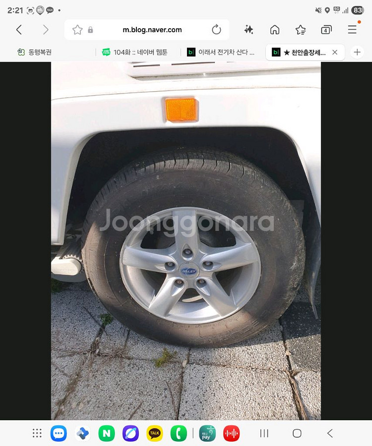 카라반 베일리 피닉스 420--3