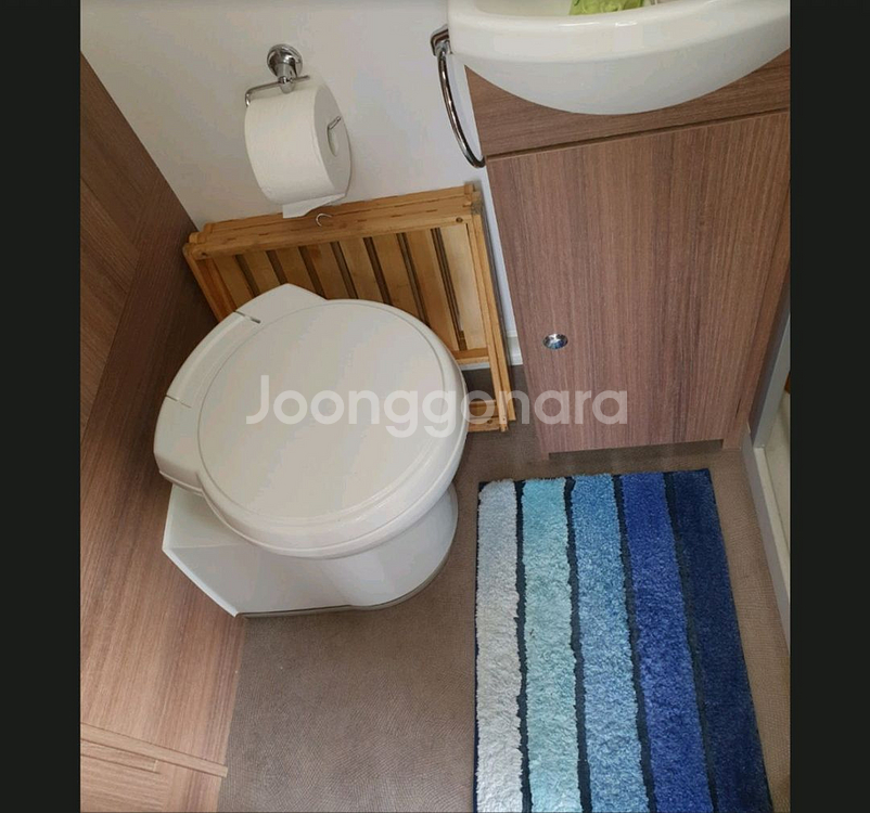 카라반 베일리 피닉스 420--5