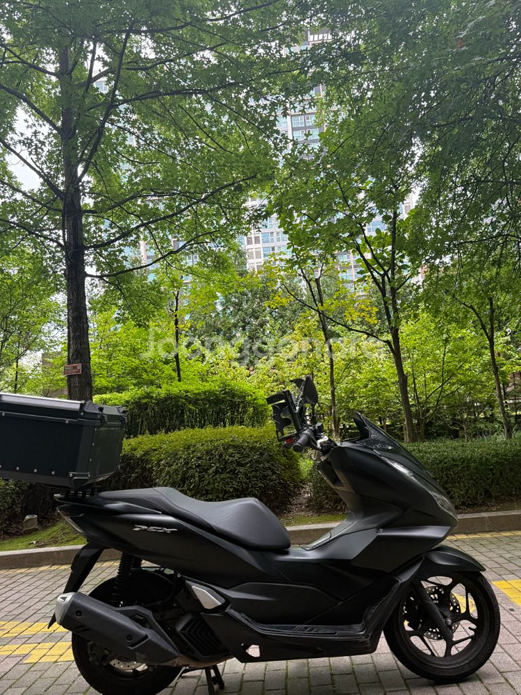 pcx125(abs) 23년형 판매합니다--4