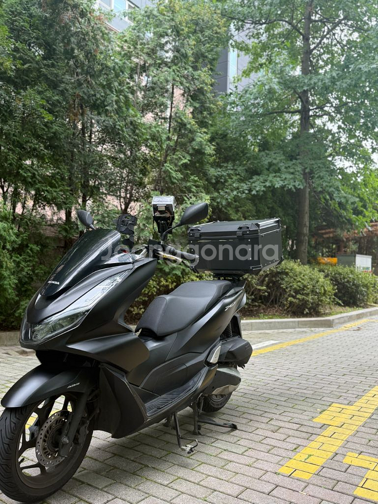 pcx125(abs) 23년형 판매합니다--2