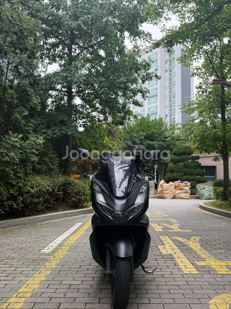 pcx125(abs) 23년형 판매합니다--0